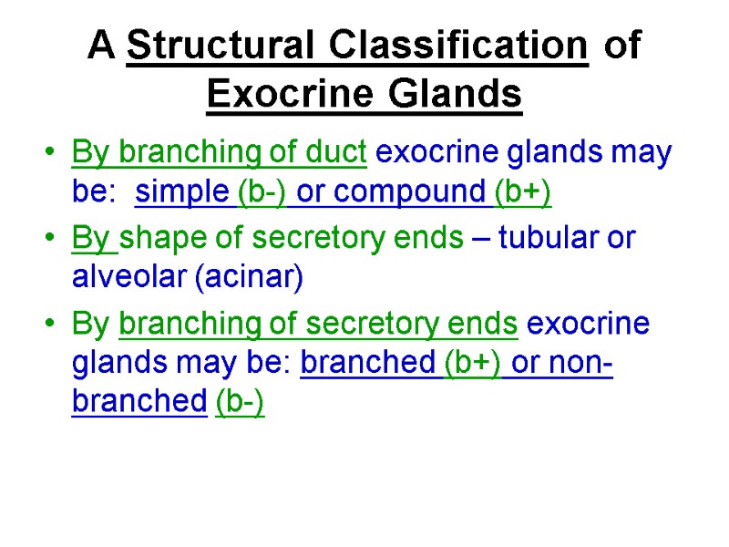 A Structural Classification of Exocrine Glands By branching of duct exocrine glands may be: